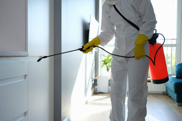 Best Mold Testing  in Milford, IA